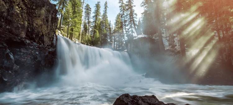 夏斯塔山旅馆(Inn at Mount Shasta)图片