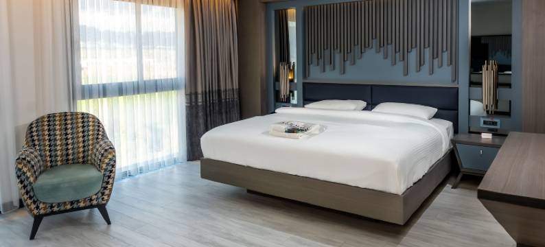 阿涅蒙肯特埃登酒店(Anemon Kent Aydın Otel)图片