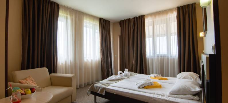 阿巴纳西公园酒店(Park Hotel Arbanassi)图片