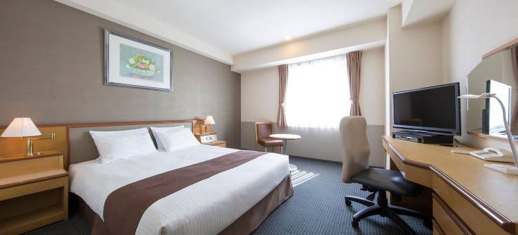 东京町田伦勃朗酒店(Rembrandt Hotel Tokyo Machida)图片