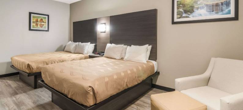 凯艺套房酒店(Quality Inn & Suites)图片