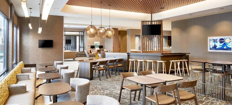 哥伦布/都柏林SpringHill Suites酒店(SpringHill Suites Columbus Dublin)图片