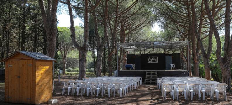 TH 拉科纳(TH Lacona)图片