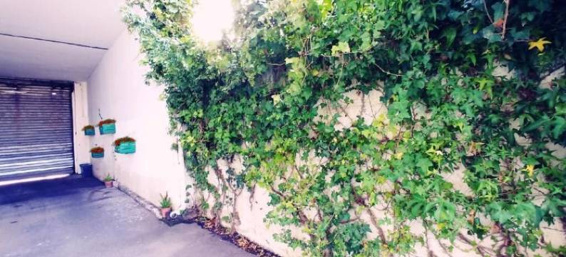 迷你克库民宿(B&B Minicurcu)图片