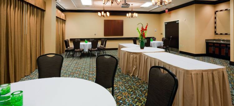 智选假日套房酒店移动/ 萨拉兰德(Holiday Inn Express & Suites Mobile/Saraland)图片