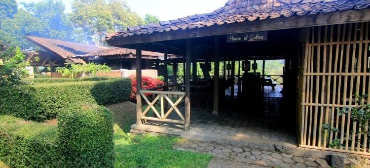 梅萨斯蒂拉水疗度假村(MesaStila Resort and Spa)图片