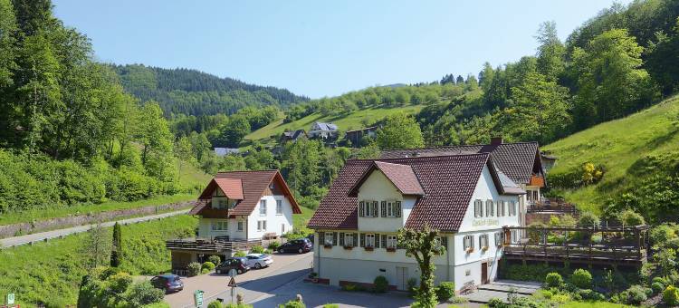 布鲁姆旅馆(Hotel - Gasthof Blume)图片