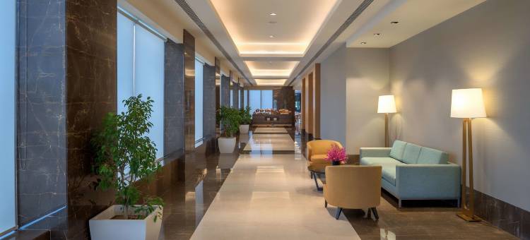 金奈羽毛拉达酒店(Feathers - A Radha Hotel Chennai)图片