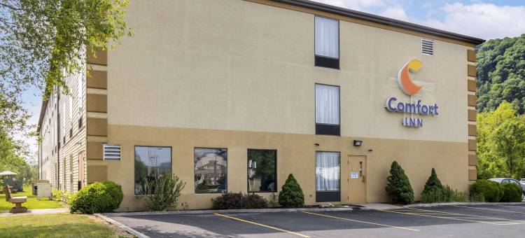 亨廷顿舒适酒店(Comfort Inn)图片