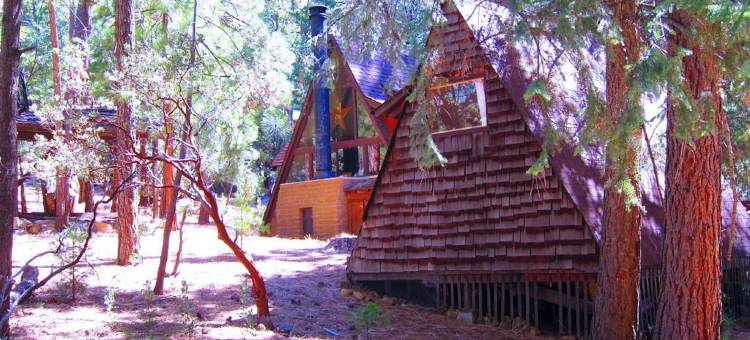 伊迪尔瓦尔德度假木屋(Always Inn Idyllwild Vacation Cottages)图片