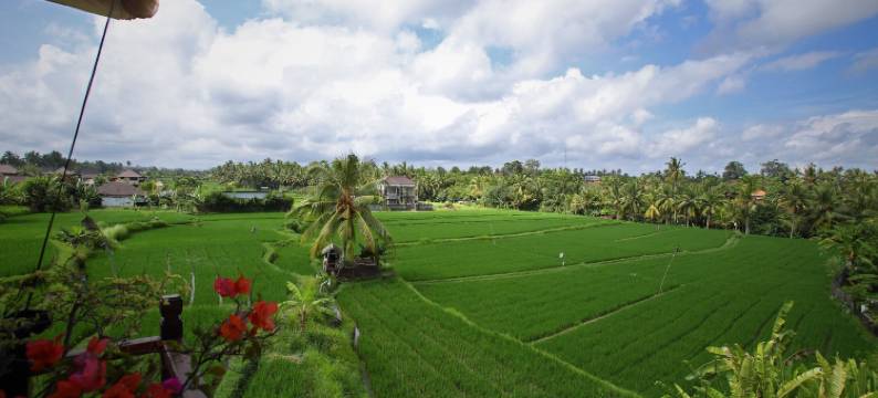 萨托利别墅(Satori Villas Bali)图片