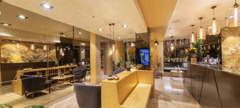 阿亚拉明豪华酒店(Ayramin Hotel Taksim)图片