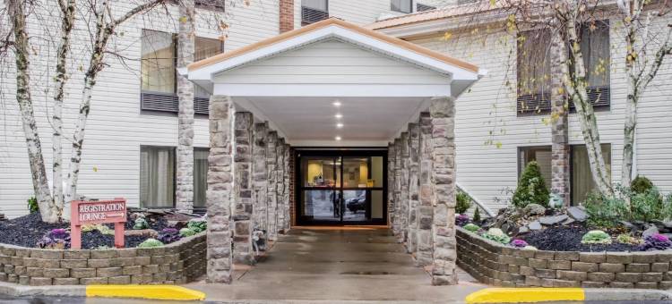 舒适酒店(Comfort Inn)图片