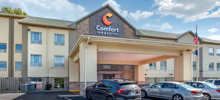 舒适套房酒店(Comfort Inn & Suites)图片