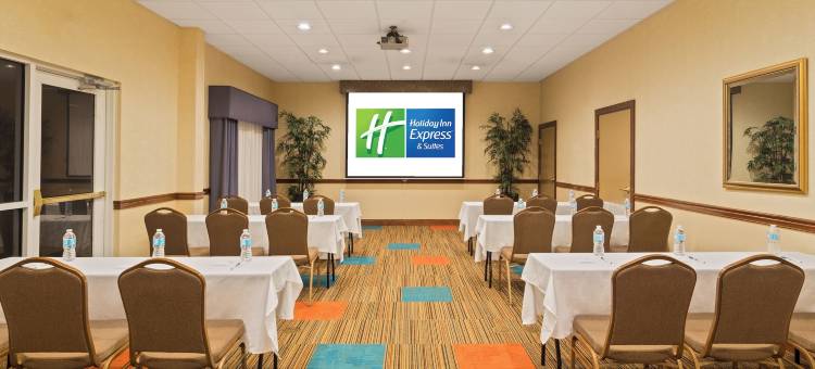 智选假日套房酒店莱克兰 by IHG(Holiday Inn Express & Suites Lakeland North - I-4)图片