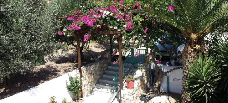 科斯康特萨公寓(Kontessa Apartments)图片