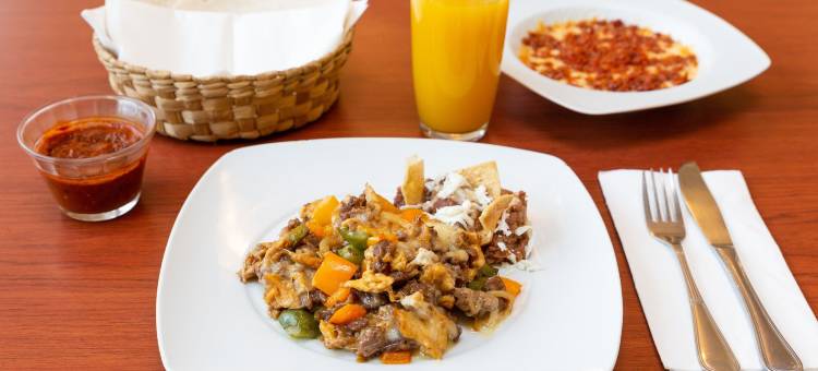 托卢卡温德姆豪生酒店(Howard Johnson by Wyndham Toluca)图片