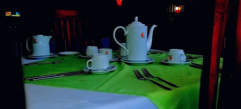 雄狮自然酒店(Hotel Lion Nature)图片