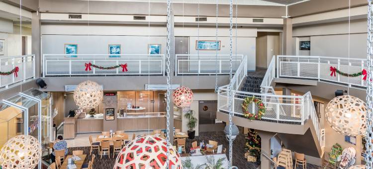 灯塔酒店(The Lighthouse Hotel)图片