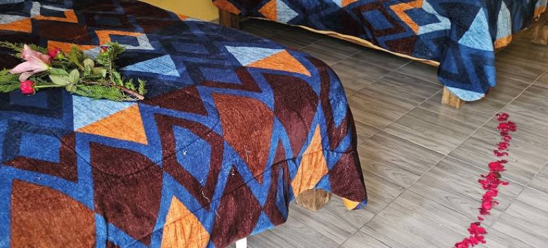 极光别墅酒店(Hotel Villa Aurora)图片