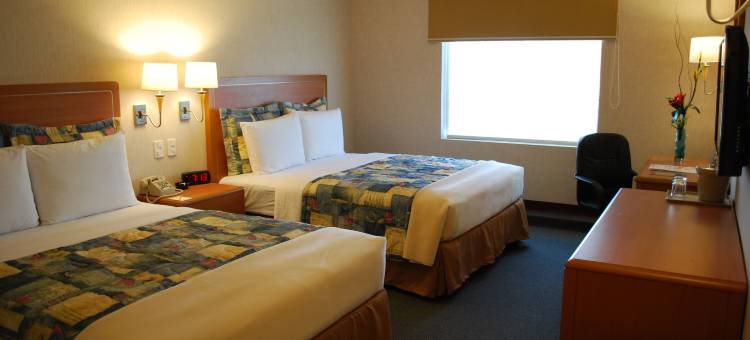 里约维斯塔波萨里卡商务高级酒店(Rio Vista Inn Business High Class Hotel Poza Rica)图片