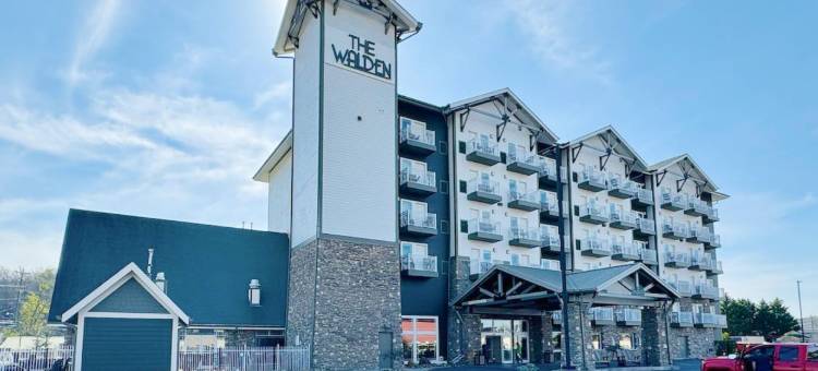 瓦尔登湖温德姆商标精选酒店(The Walden, Trademark Collection By Wyndham)图片