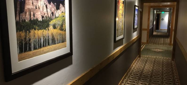 特柳赖德山中旅馆(Mountain Lodge Telluride)图片