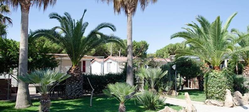 卡梅米露营村(Kamemi Village & Camping)图片