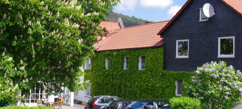 凯恩斯霍夫兰德酒店及餐厅(Landhotel & Restaurant Kains Hof)图片