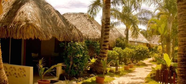 特马奴亚塔村酒店(Village Temanuata)图片