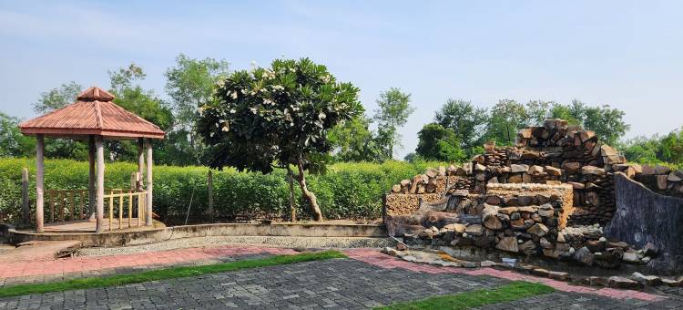 柚木农场(Teakwood Farms)图片