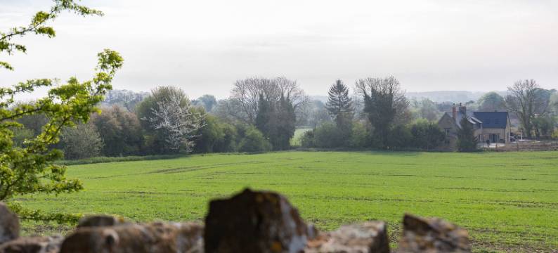 教堂区小屋酒店(Church End Cottage)图片