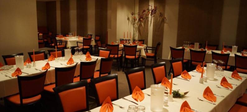 金狮酒店(Hotel Goldener Löwe)图片