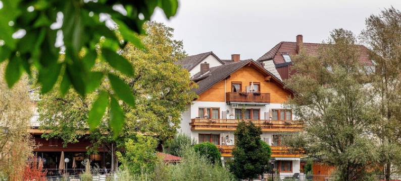 兰加斯霍夫默塞尔酒店(Landgasthof Moser & Restaurant Bootshaus)图片