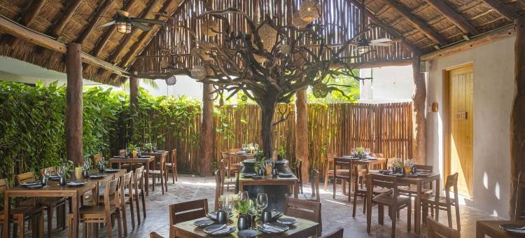 阿莱阿图兰酒店(Alea Tulum)图片