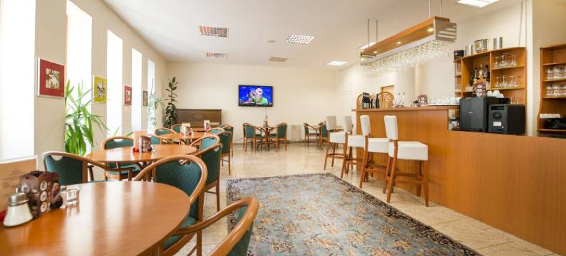 德沃拉克酒店(Hotel Dvorak)图片