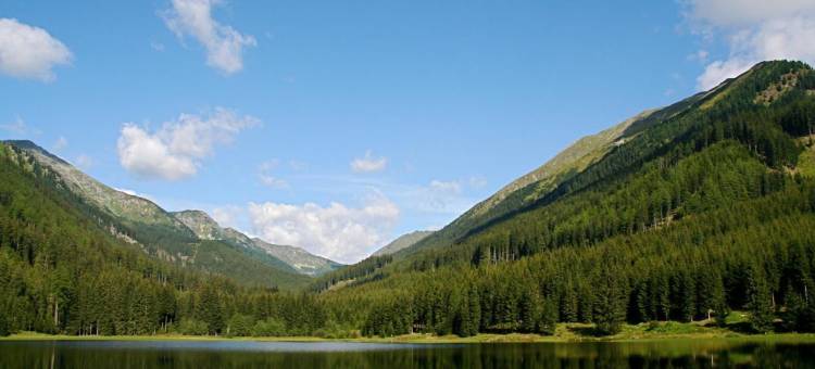 蔡林格斯科斯盖斯比恩公寓(Das Gutshaus)图片