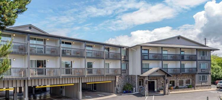 舒适套房酒店(Comfort Inn & Suites)图片