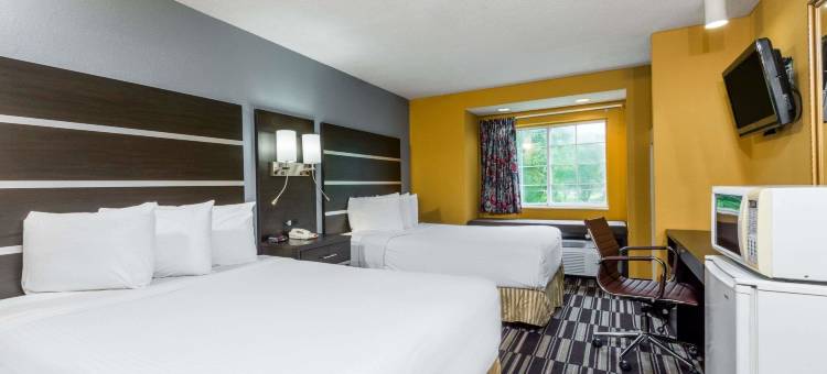 温德姆利佛赛得麦客达套房酒店(Microtel Inn & Suites by Wyndham Dayton/Riverside Oh)图片