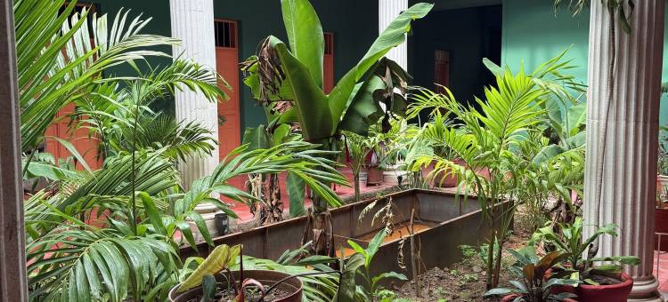 Ginger banana 青年旅舍(Ginger Banana Hostel)图片