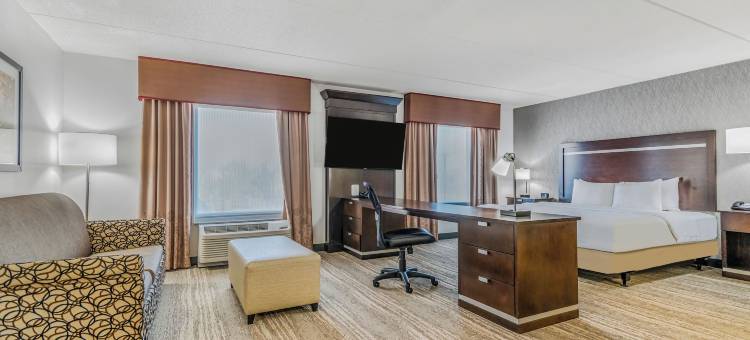 希尔顿欢朋套房酒店-底特律机场罗穆勒斯(Hampton Inn & Suites Detroit/Airport-Romulus)图片