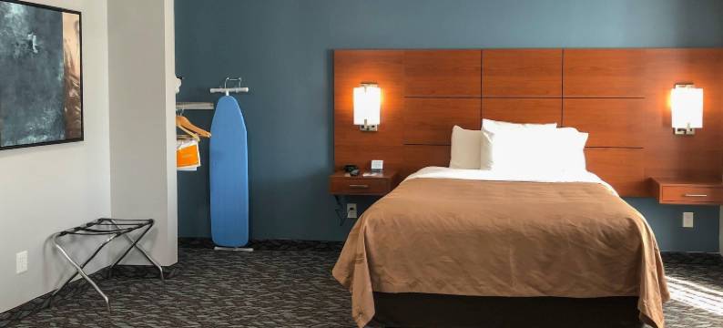 沃特敦-德拉姆堡品质套房酒店(Quality Inn & Suites Watertown Fort Drum)图片