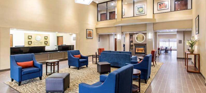 IAH布什机场-东舒适套房酒店(Comfort Inn & Suites IAH Bush Airport - East)图片
