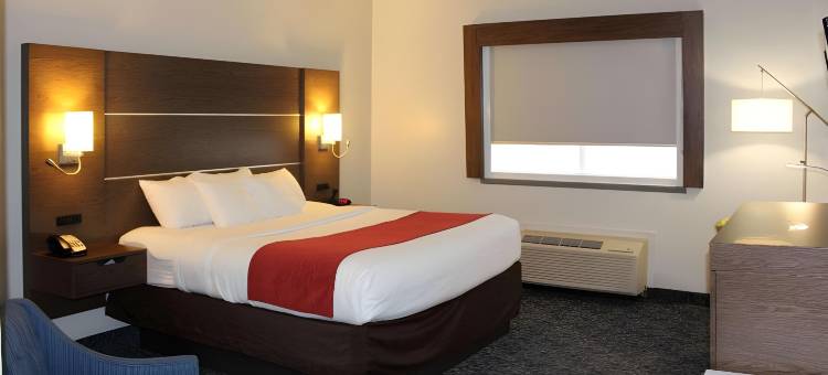 舒适套房酒店 - 近路易斯维尔湖(Comfort Inn & Suites Near Lake Guntersville)图片