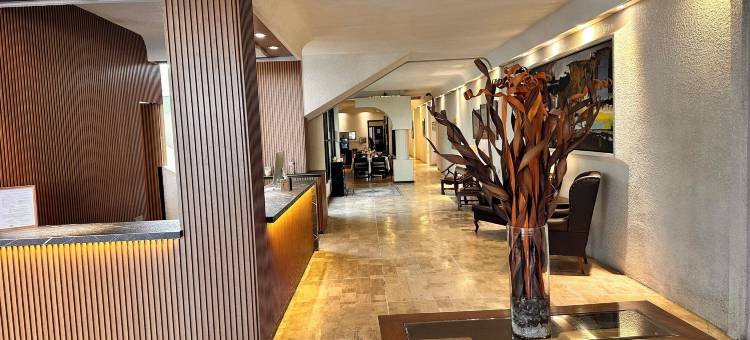 德尔弗雷斯诺酒店(Hotel del Fresno)图片