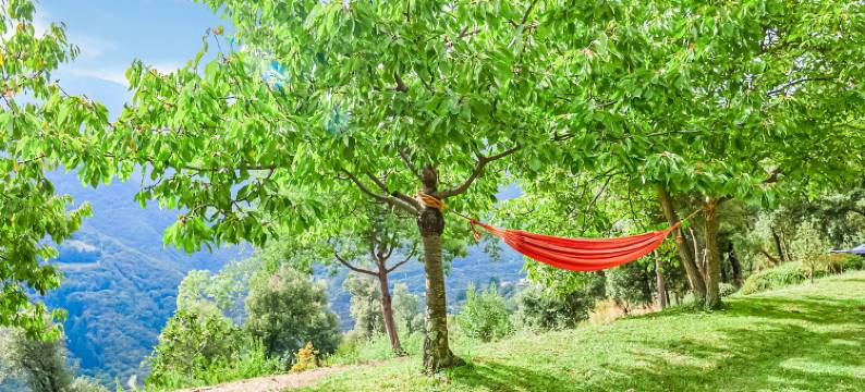 Holiday Home Montseny with Pool图片