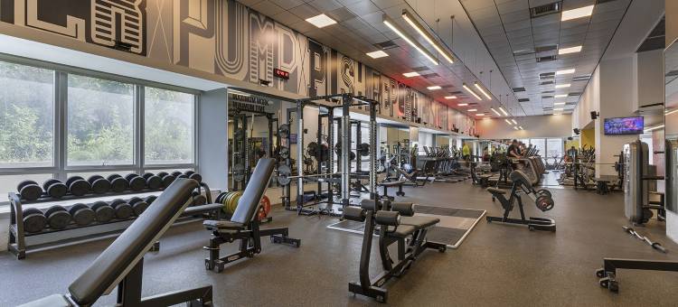 维塔尔酒店-商务精品酒店(Vital - Urban Boutique Hotel TLV)图片