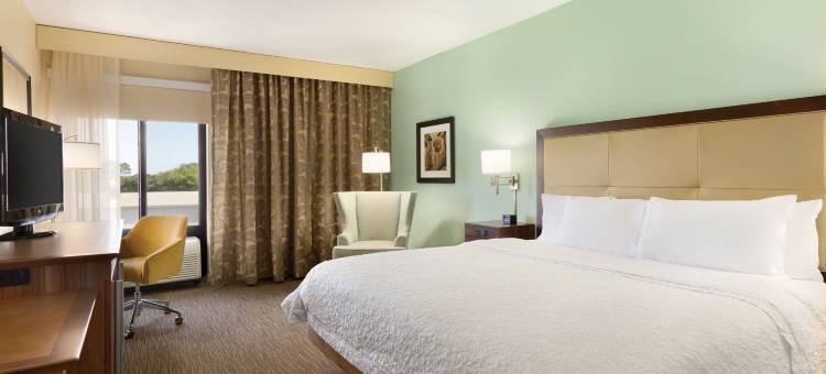 希尔顿欢朋套房酒店-塔彭斯普林斯(Hampton Inn & Suites Tarpon Springs)图片