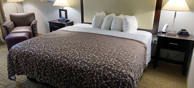 帕利斯岛贝斯特韦斯特酒店(Best Western Pawleys Island)图片