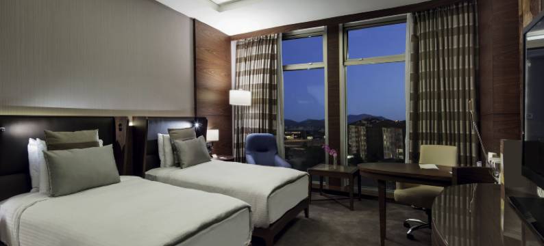 马拉蒂亚瑞享酒店(Movenpick Malatya Hotel)图片